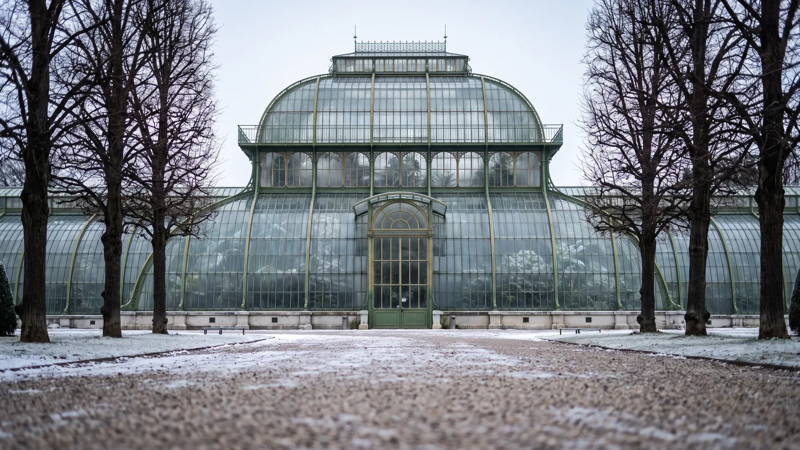 Das historische Palmenhaus aus grünem Gusseisen und Glas im Schlosspark Schönbrunn an einem kühlen Wintermorgen.